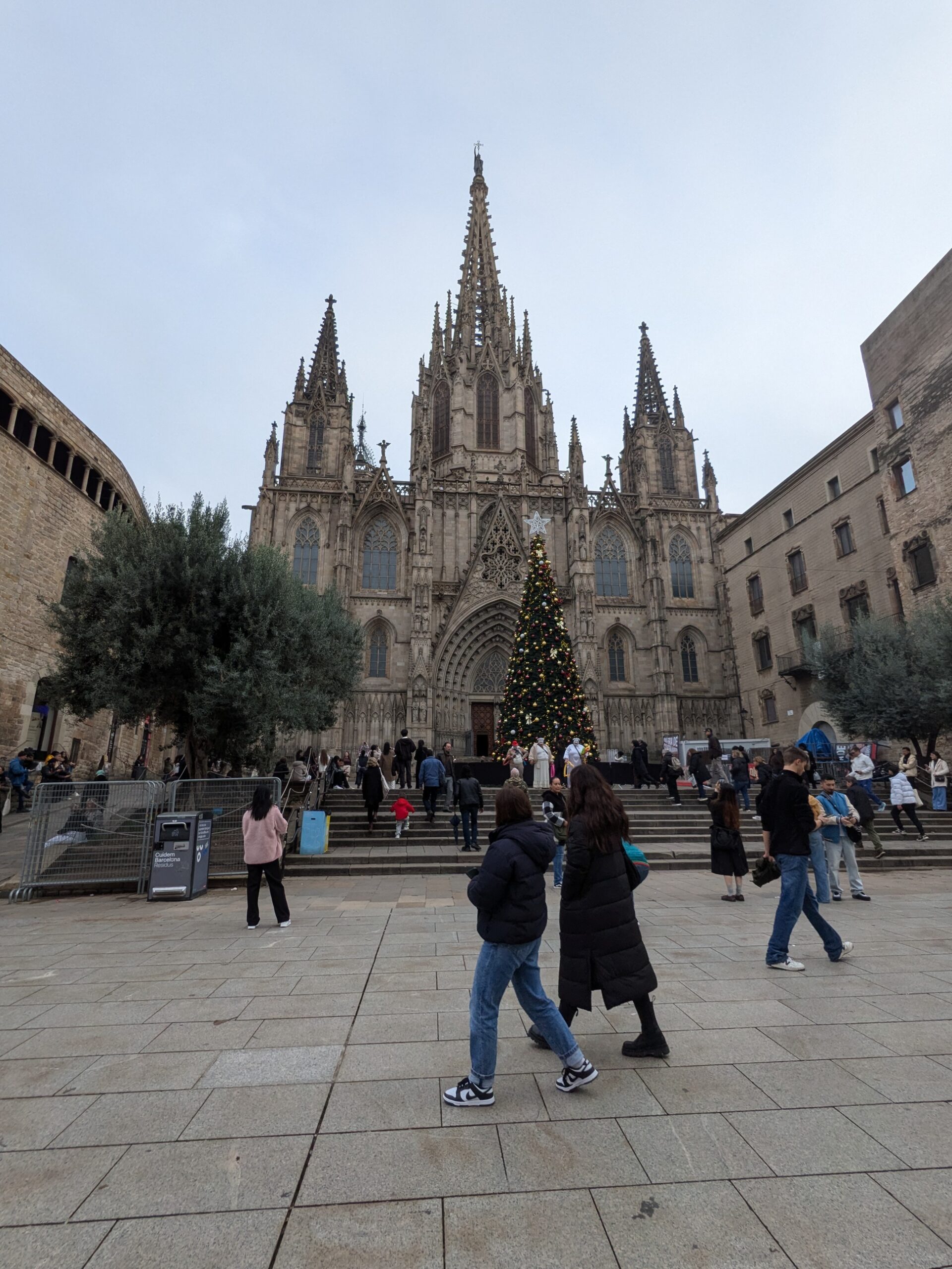 Christmas at Cathedral of Barcelona