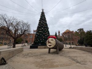 Tio - Catalan Christmas Log