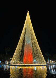 Christmas Tree Lights in Campina Grande, Brazil